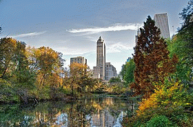 photo of Central Park, New York